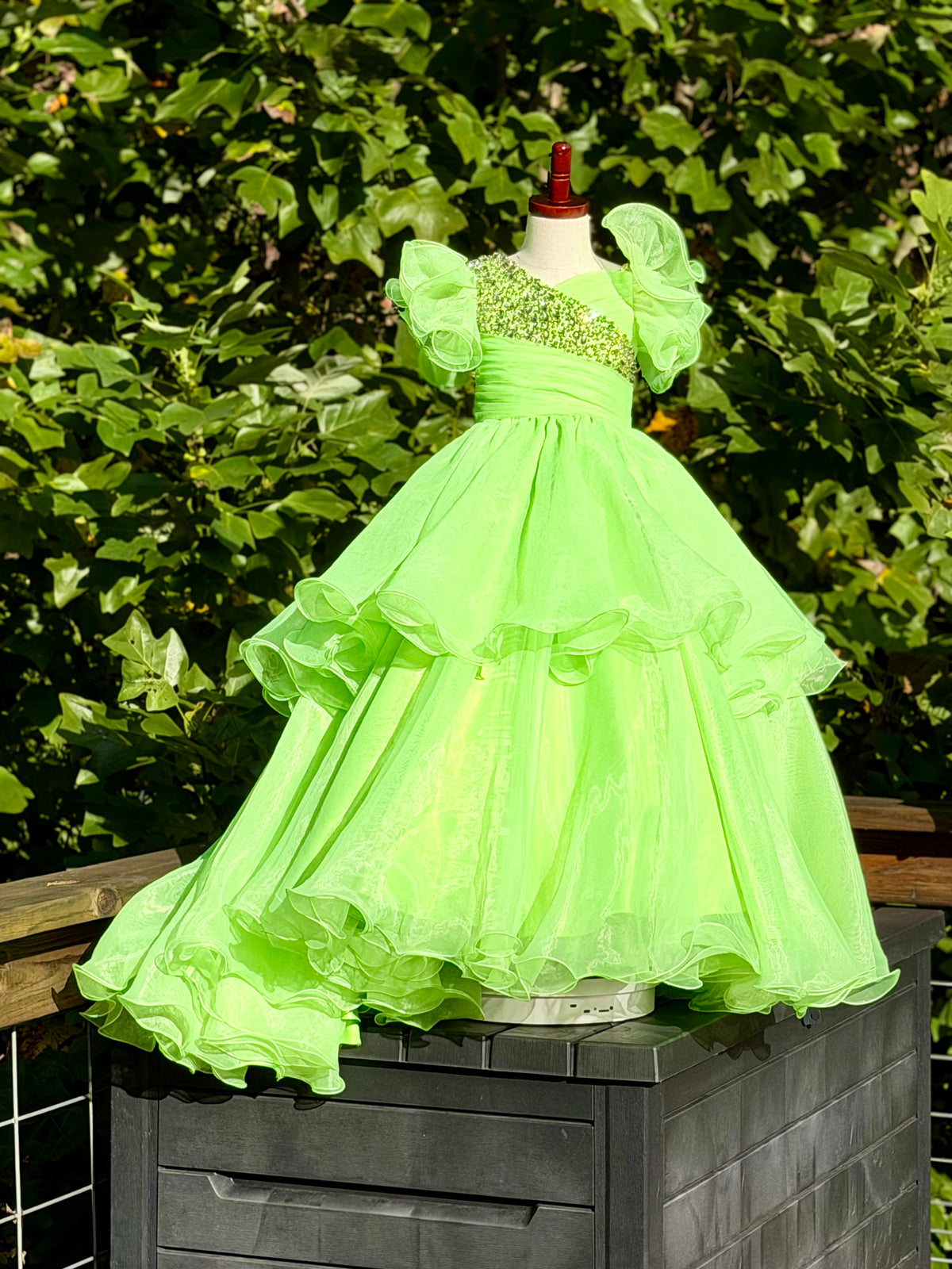 Size 2/3 Custom LIZZ Dress