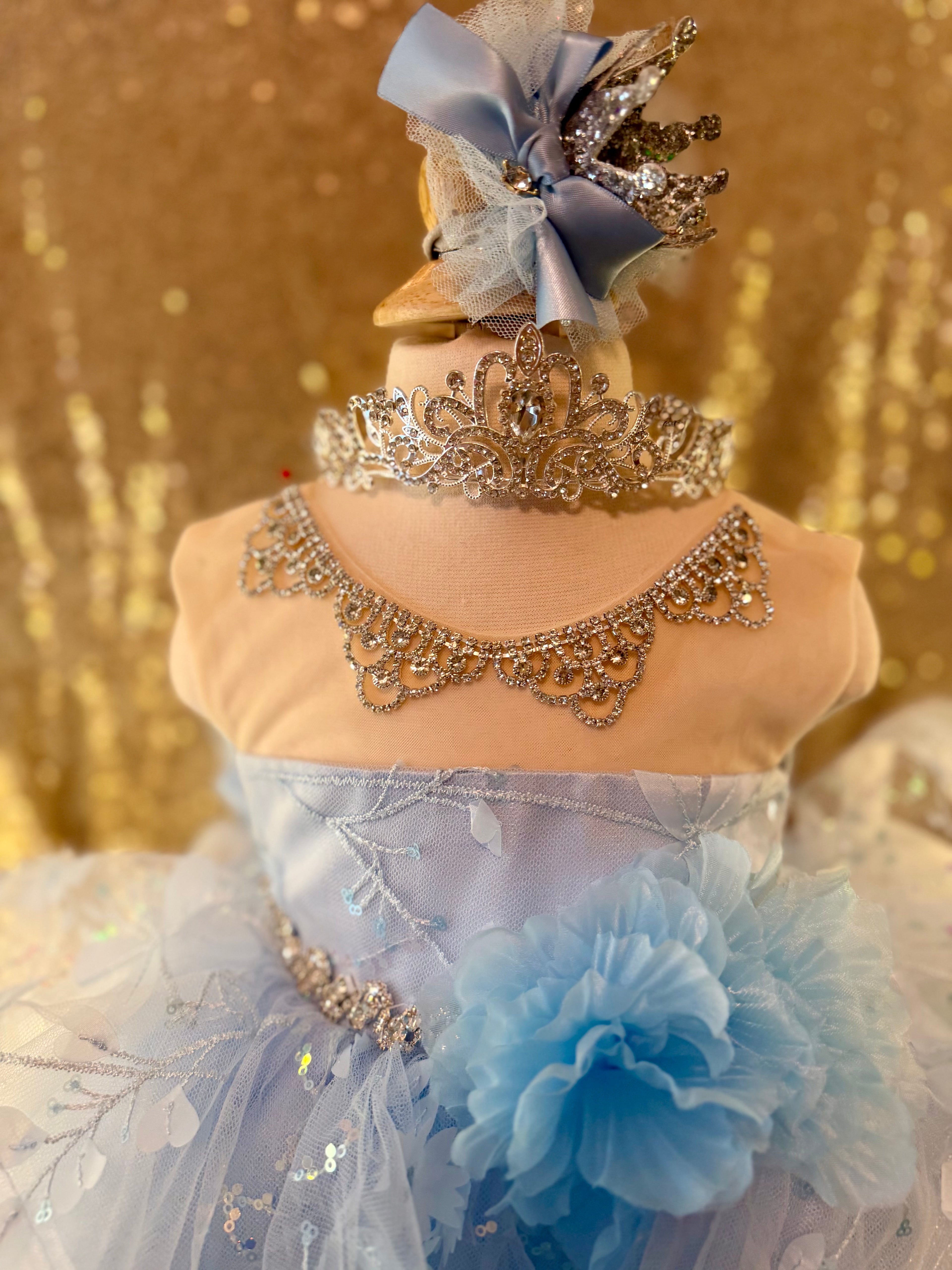 Glenda the Good Witch or Cinderella OOC Size 6/12 Month