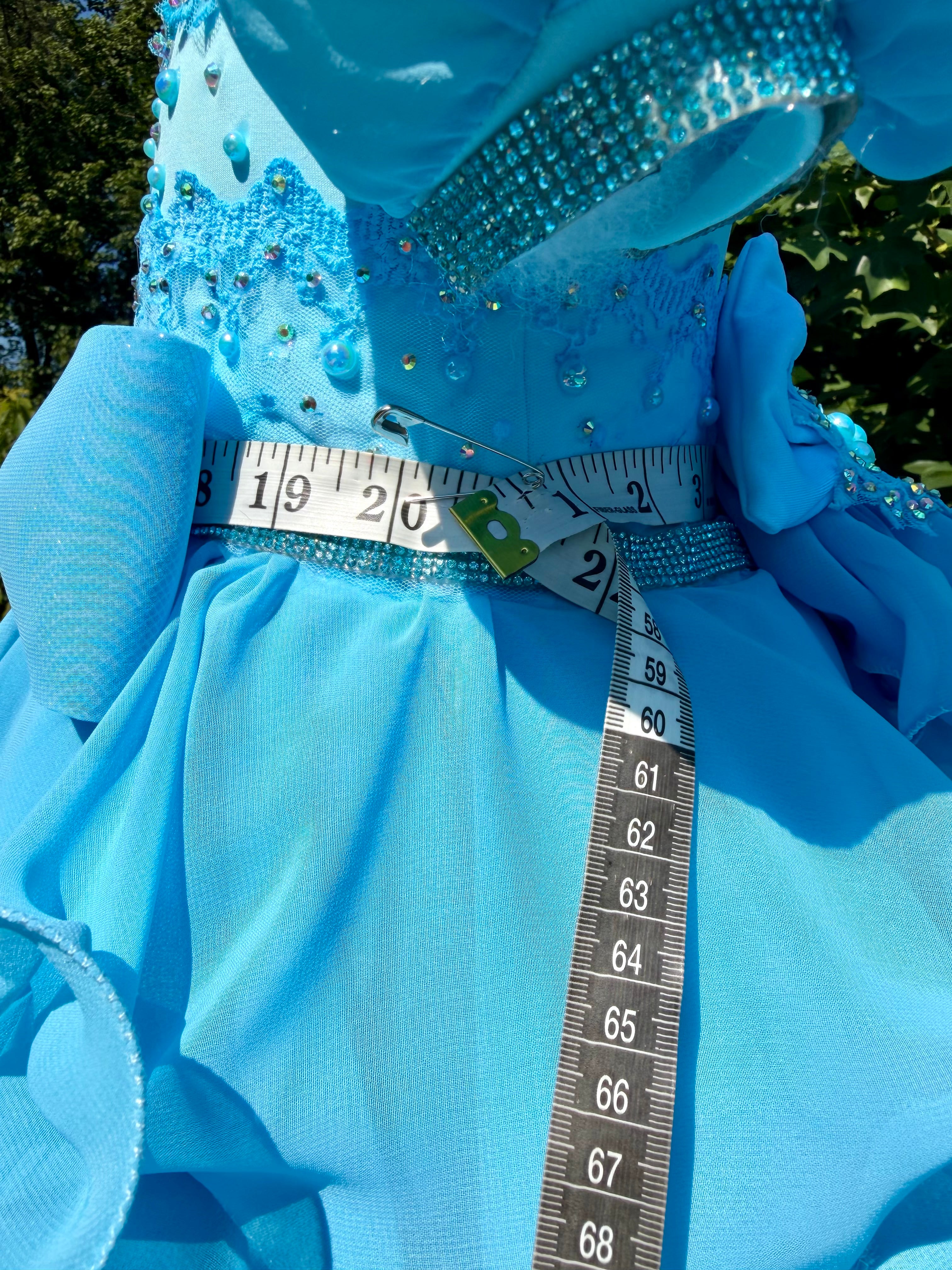 Milly Moo’s Designs custom semi-glitz chiffon. Size 18/3.